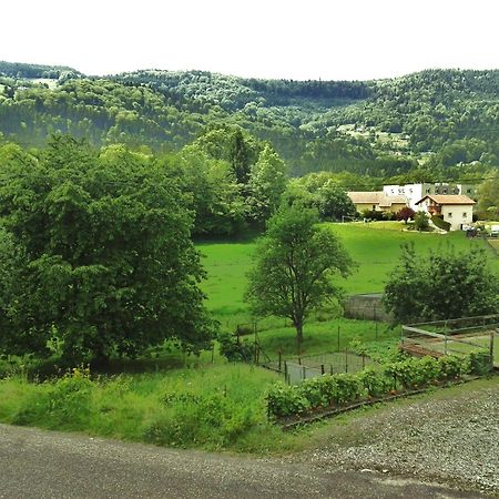 Les Jolis Coeurs Hotel Thiéfosse Exterior foto